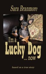Lucky Dog Miniature Pinscher