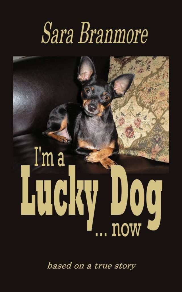 I'm a Lucky Dog by Sara Branmore